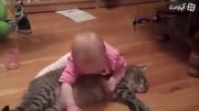علاقه بچه ناز به گربه