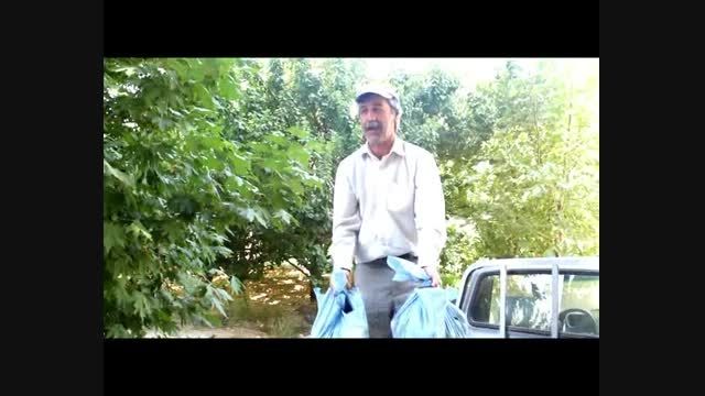 شکایت کشاورزان شهریار از دست معتادان