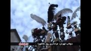 نخل گردانی اهالی دولاب تهران در روز عاشورا