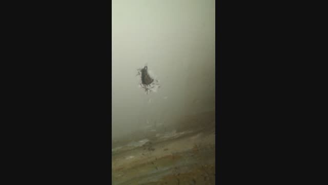 سوراخ کردن دیوار خانه توسط مورچه