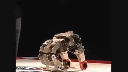 مسابقات ربات جنگجو در ژاپن