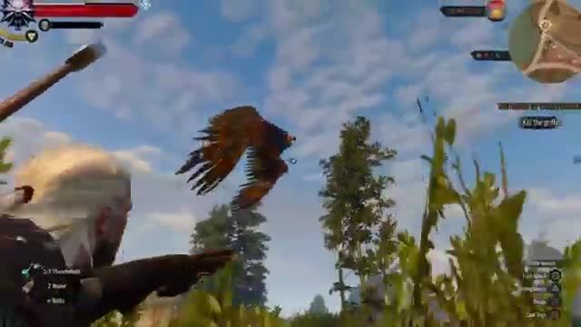 Killing Griffin In The Witcher 3: Part 1