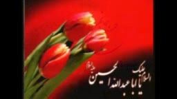 امشب علی قران به روی شانه داردامدبه دنیانازنین فرزندزهر