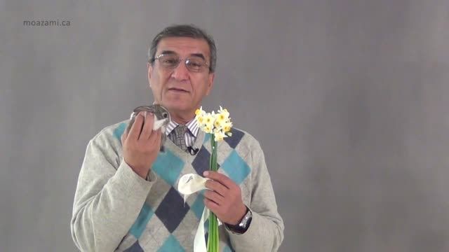 نوابغ فروش-محمود معظمی, آموزشی ویژه تنها برای افراد خاص
