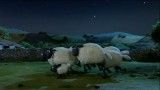 گوسفندها و فضایی ها