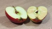 ازمایش اکسید(یا عدم خراب شدن) بر روی سیب