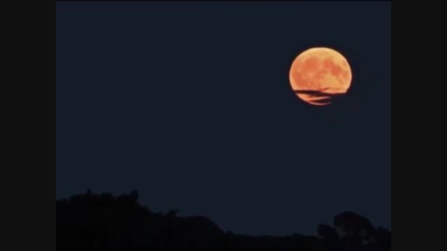 یک شب مهتاب از فرهاد مهراد