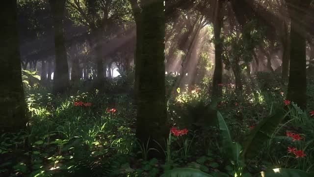 جنگل کرای انجین 3-فوق العاده زیبا