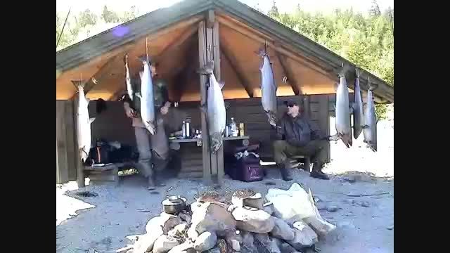 ماهیگیری جالب و بسیار دیدنی ماهی ازاد