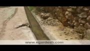 ردپای دایناسور در کویر ایران