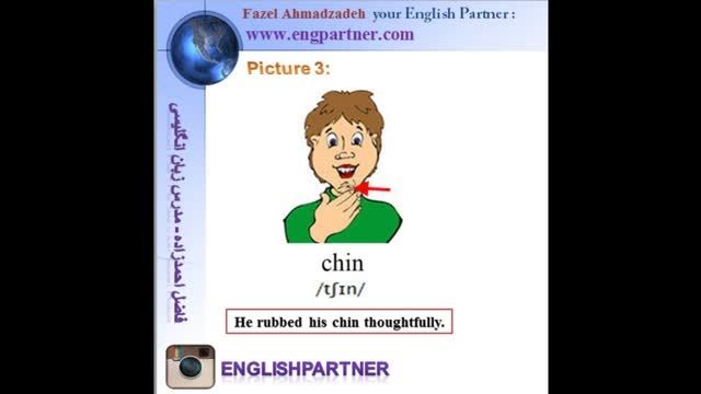 آموزش تصویری لغات انگلیسی 3 : chin