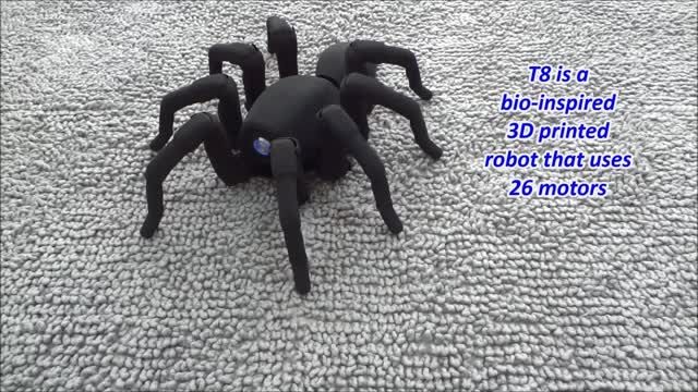 ربات عنکبوتی - کافه ربات