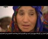 زلزله زدگان آذربایجان