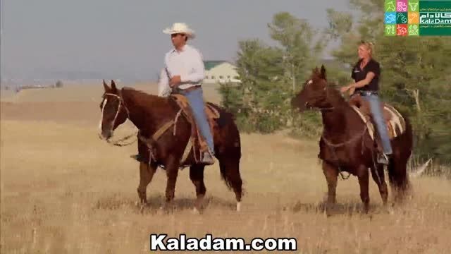 پرورش اسب در ایالت مونتانا