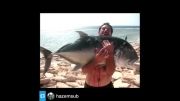 شکار ماهی بزرگ