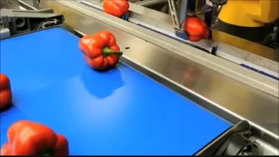 روبات ها تهیه غذا را به دست می گیرند.