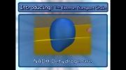 زنجیره انتقال الکترون-فرآیندهای سلولی4(Cellular Processes_ Electron Transport Chain)