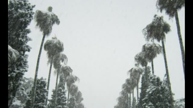بارش برف استثنایی در رامسر
