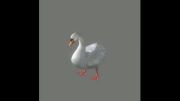 Reference برای متحرک سازی( Swan 3D  )