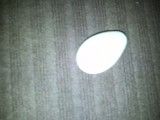 تخم مرغ جادویی