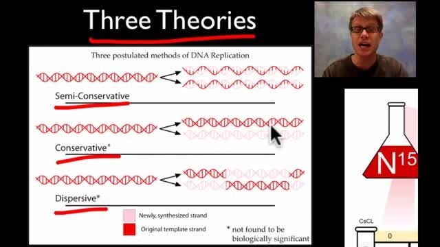 همانند سازی DNA