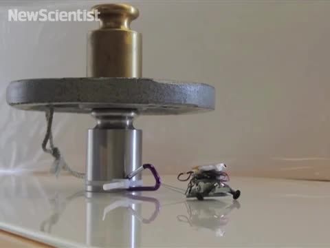 روبات فوق کوچک  با قدرت حمل ۲۰۰۰ برابر وزن خود