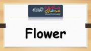 تلفظ صحیح کلمه Flower