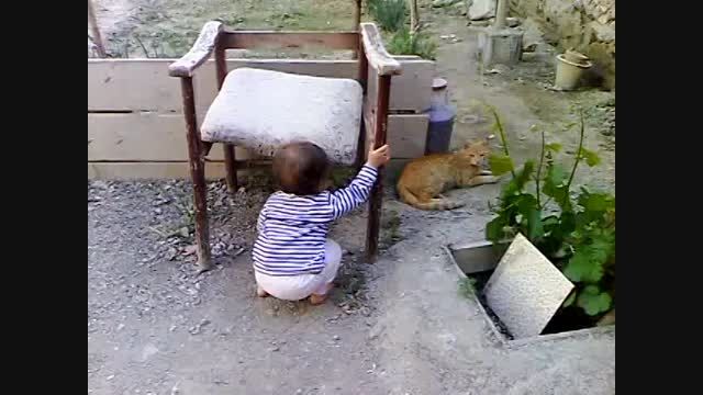 بازی فاطمه با گربه