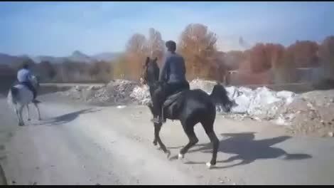 اسب سواری فروشی