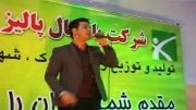 اجرای کنسرت علیرضا روزگار در کرمان 4