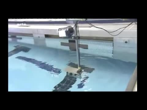 آمززش شنا حرفه ای-فیلم تمرینات مایکل فلپس