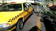 وقت نیوز-افتادن شاخه درخت روی تاکسی در تبریز