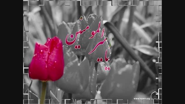 امام علی (ع) در کلام بزرگان