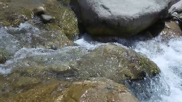 صدای پای آب در رودخانه دلفارد جیرفت
