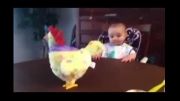 عکس العمل جالب کودک به تخم گذاشتن مرغ