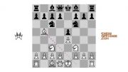 بازی چهار اسب chessopenings.com