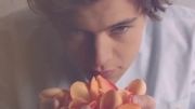 One Direction Fragrance - Harry Sneak Peak