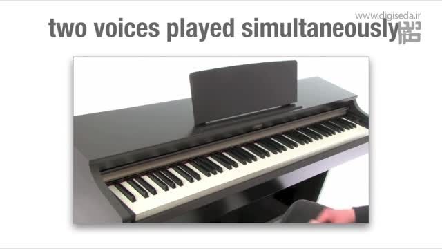 پیانو دیجیتال یاماها YDP 162 | دیجی صدا