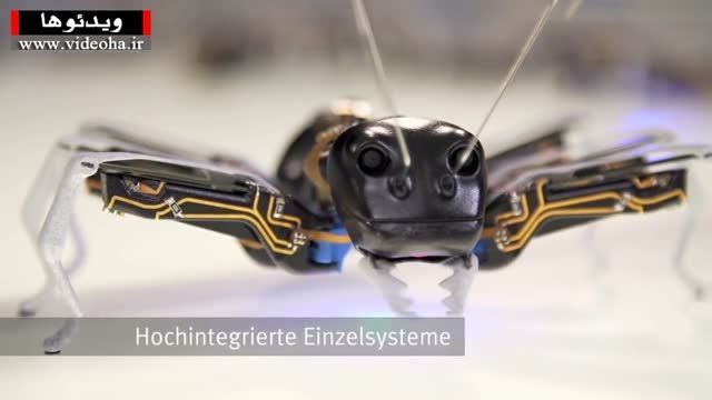 طراحی روبات مورچه برای کار گروهی