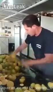 در هنگام بریدن میوه دست فرد کنده می شود