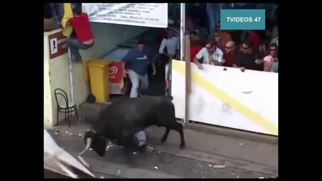 صحنه های درگیری انسان با گاو!