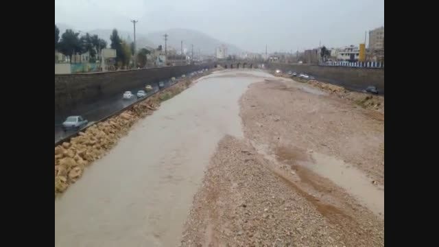 رودخانه خشک شیراز جاری شد/ پرندگان مهاجر هم آمدند