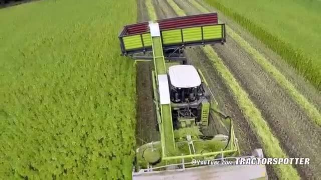 Harvesting fiber hemp