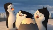 تریلر انیمیشن Penguins of Madagascar 2014