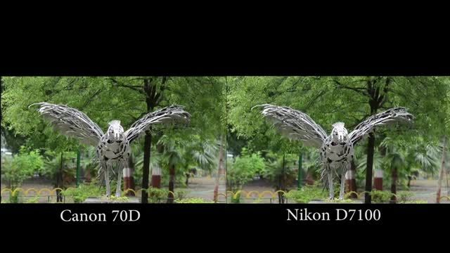 70d vs d7100