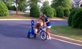 دوچرخه سواری سگ (خیلی جالبه)
