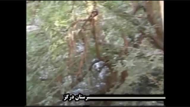 آبشارزیبای چهلمیر- خراسان رضوی - شهرستان درگز