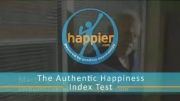 The Authentic Happiness Index‬