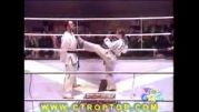 د ترین تکنیک کاراته 18+
