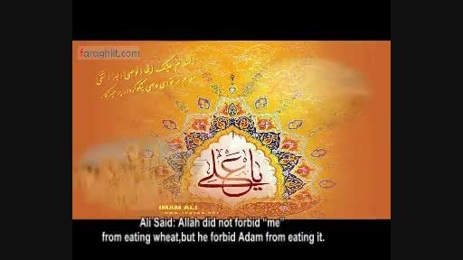 Why Imam Ali